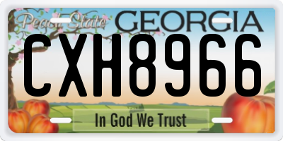 GA license plate CXH8966