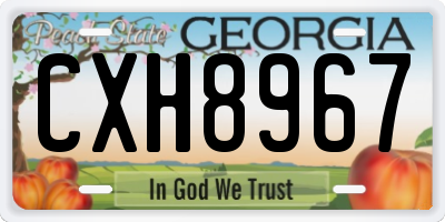 GA license plate CXH8967