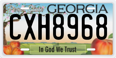 GA license plate CXH8968