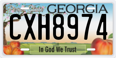 GA license plate CXH8974