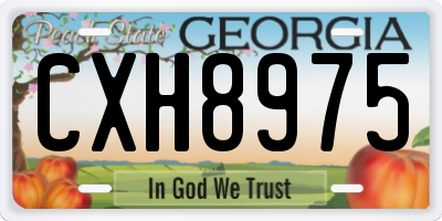 GA license plate CXH8975