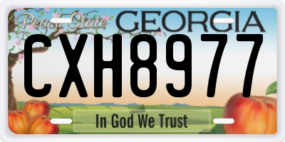 GA license plate CXH8977