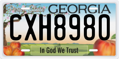 GA license plate CXH8980