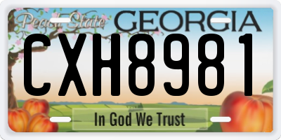 GA license plate CXH8981