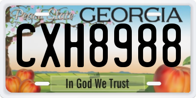 GA license plate CXH8988