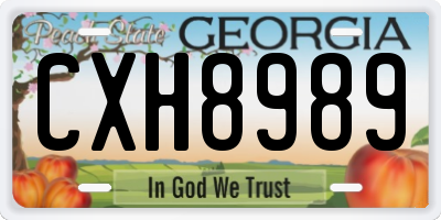 GA license plate CXH8989