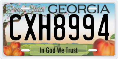 GA license plate CXH8994