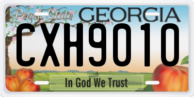 GA license plate CXH9010