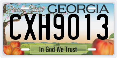 GA license plate CXH9013