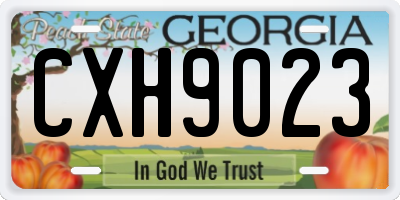 GA license plate CXH9023