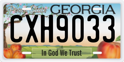 GA license plate CXH9033
