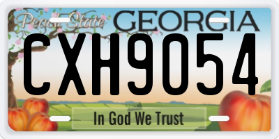 GA license plate CXH9054