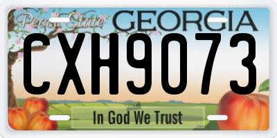 GA license plate CXH9073