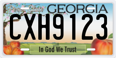 GA license plate CXH9123