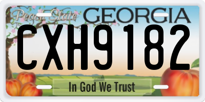 GA license plate CXH9182