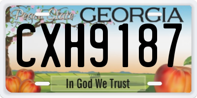 GA license plate CXH9187