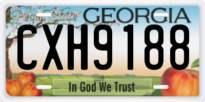 GA license plate CXH9188