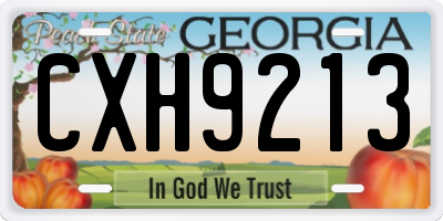 GA license plate CXH9213