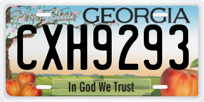 GA license plate CXH9293