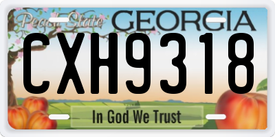 GA license plate CXH9318