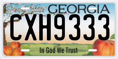 GA license plate CXH9333