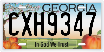 GA license plate CXH9347