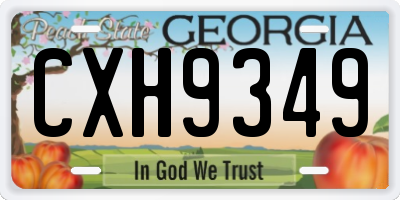 GA license plate CXH9349