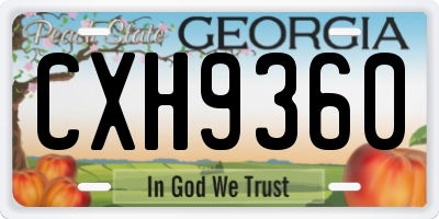 GA license plate CXH9360