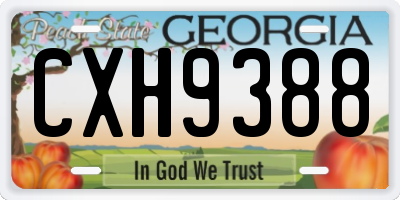 GA license plate CXH9388