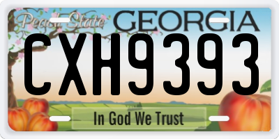 GA license plate CXH9393