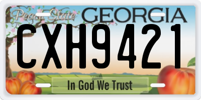 GA license plate CXH9421