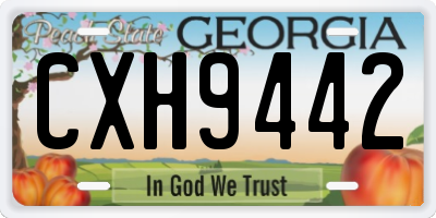 GA license plate CXH9442