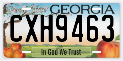 GA license plate CXH9463