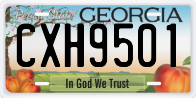 GA license plate CXH9501