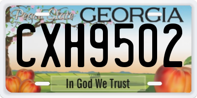 GA license plate CXH9502