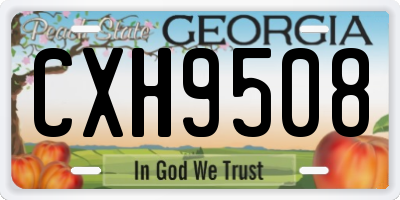 GA license plate CXH9508