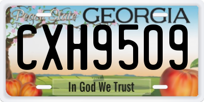 GA license plate CXH9509