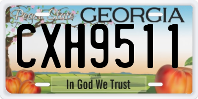 GA license plate CXH9511