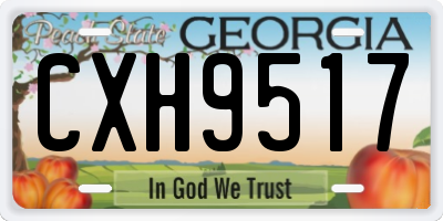 GA license plate CXH9517