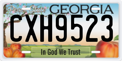 GA license plate CXH9523