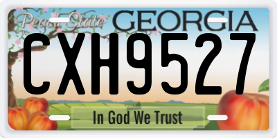 GA license plate CXH9527