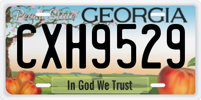 GA license plate CXH9529