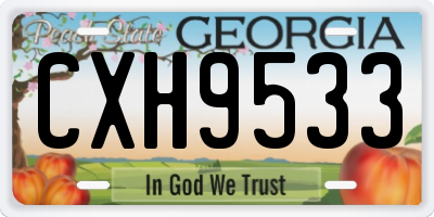 GA license plate CXH9533