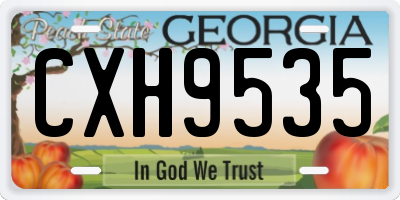GA license plate CXH9535
