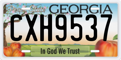 GA license plate CXH9537