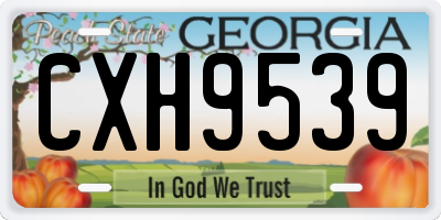 GA license plate CXH9539