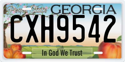 GA license plate CXH9542