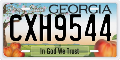GA license plate CXH9544
