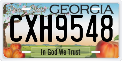 GA license plate CXH9548