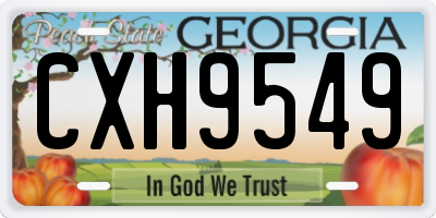 GA license plate CXH9549